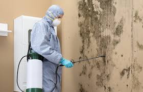 Best Industrial Mold Remediation  in Ovilla, TX